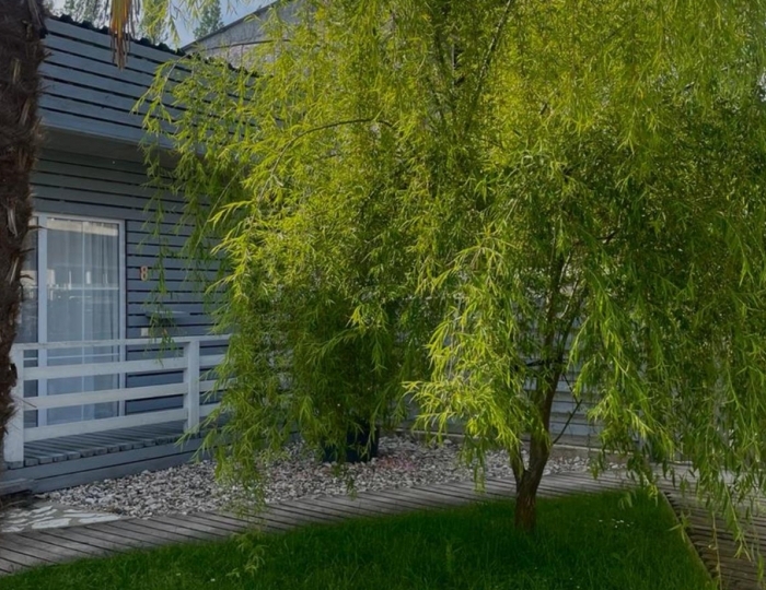 Отель Arazny / Аразны Гудаута